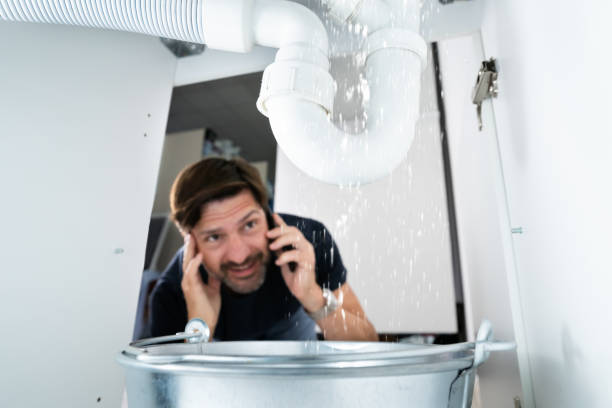 Best Clogged Drain Plumber  in Jefferson City, TN